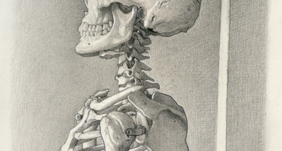 skeleton